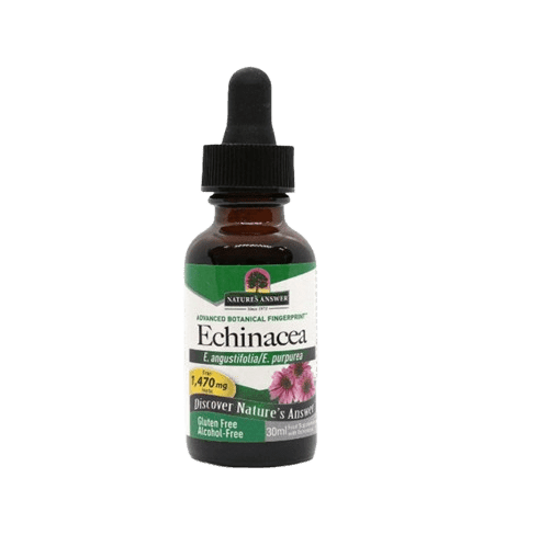 echinacea_root Echinacea Root 30ml - Image 1