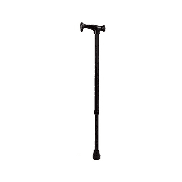 Picture2 Walking Stick - Image 1